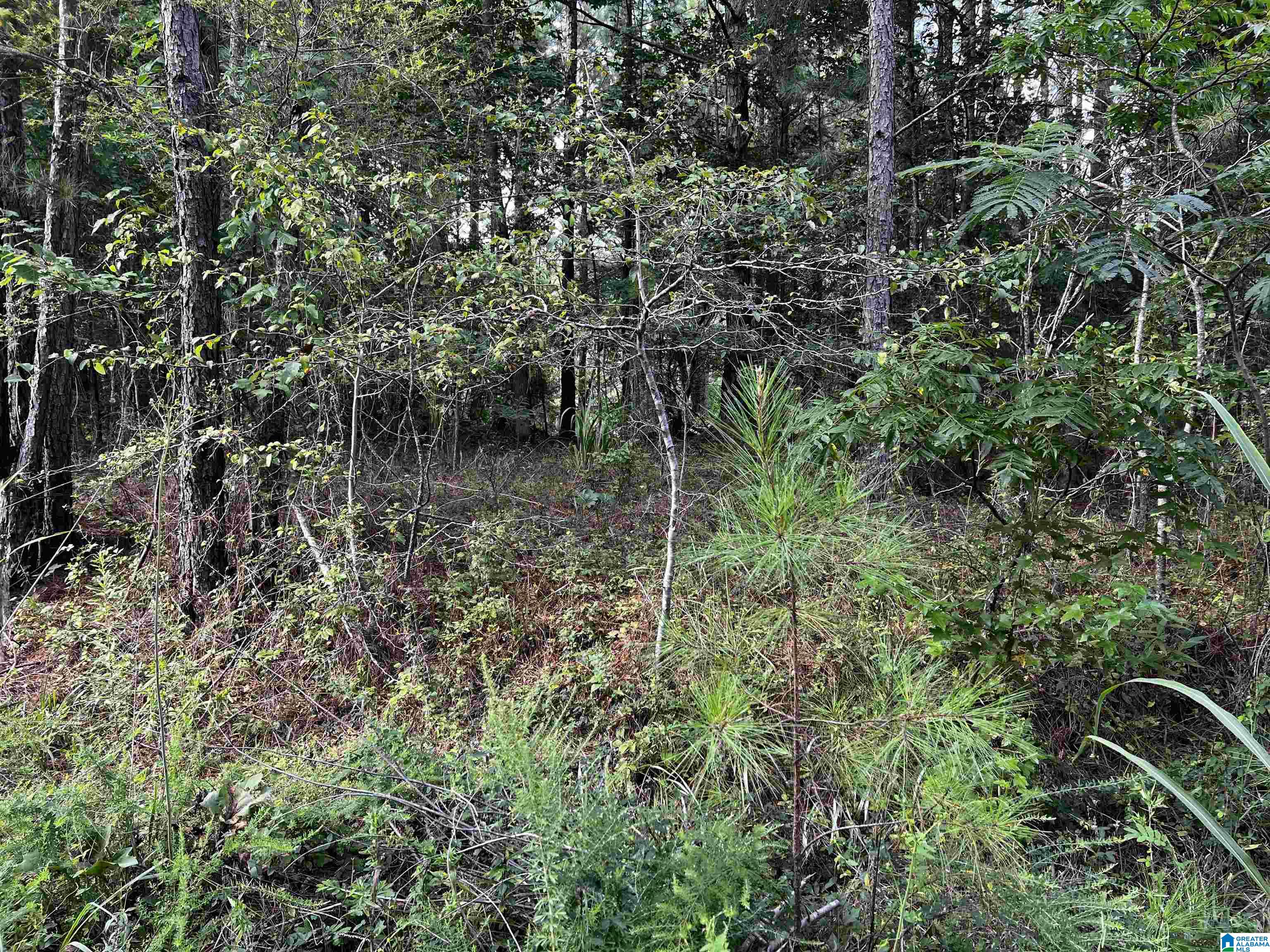 Land in ODENVILLE 3