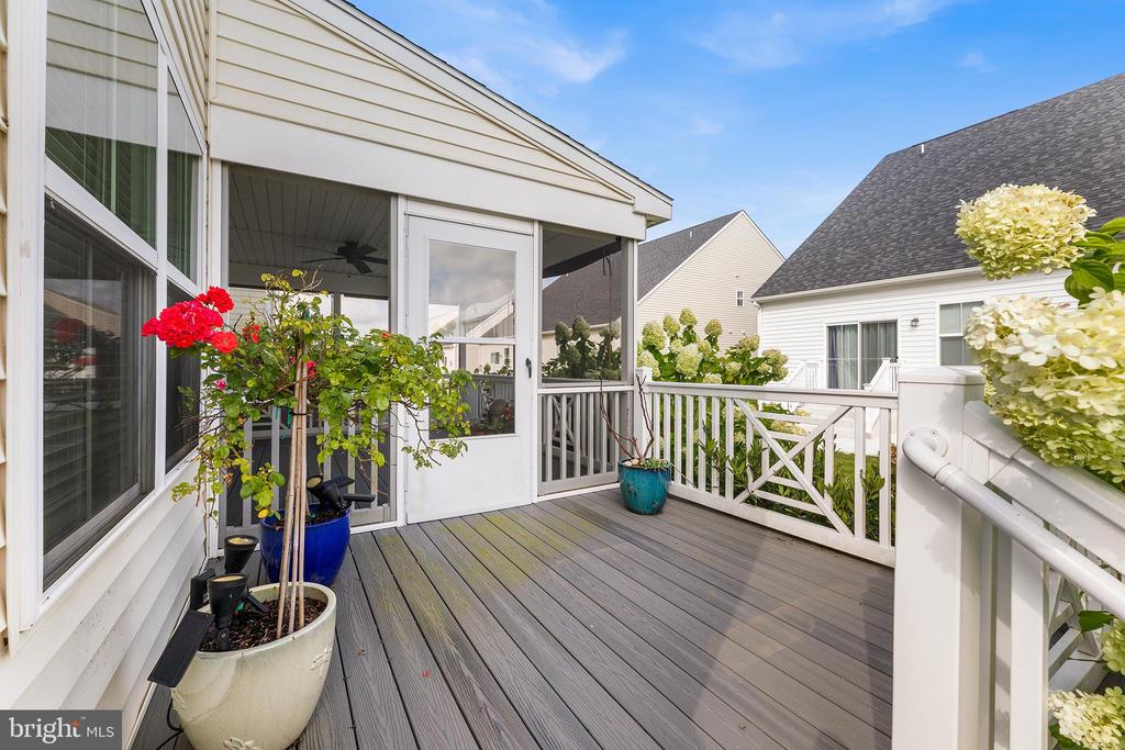 Residential in REHOBOTH BEACH 4