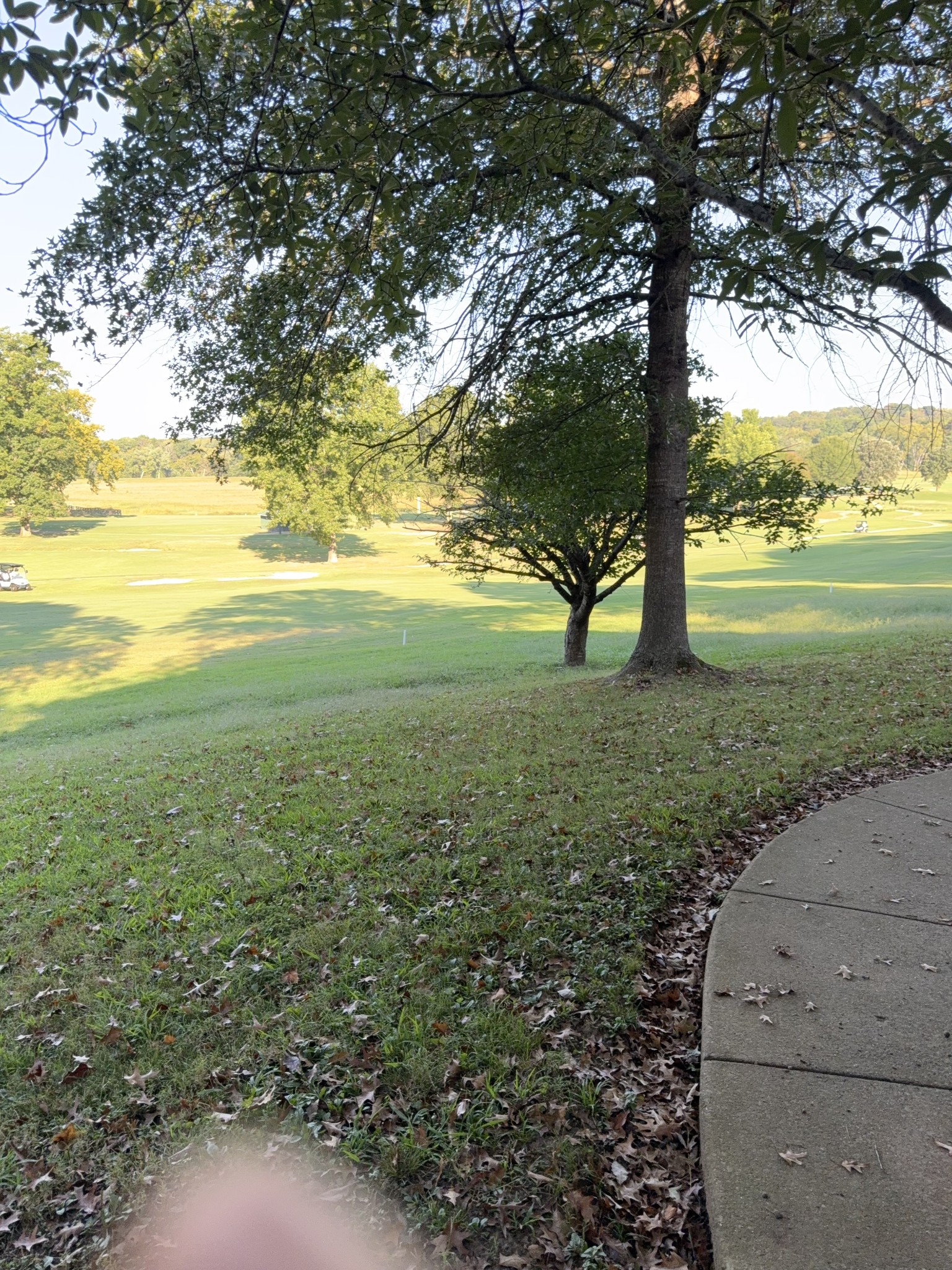 Residential Lease in Clarksville 3