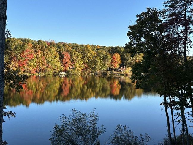 2362 Little Bend Rd, Home with 0 bedrooms, 0 bathrooms and null parking in Signal Mountain TN | Image 6