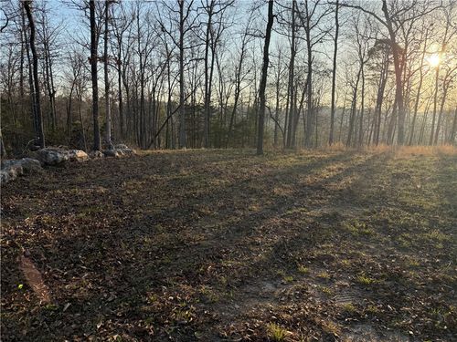 000 County Road 124, Calico Rock, AR, 72519 | Card Image