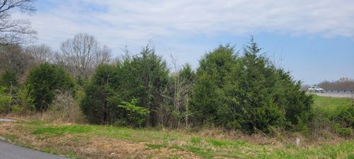 1 Whiteside Hill Rd, Shelbyville, TN, 37160 | Card Image
