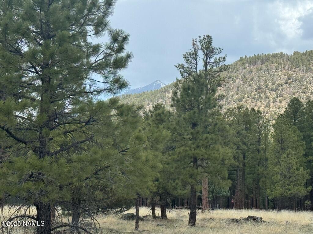 Land in Flagstaff 2