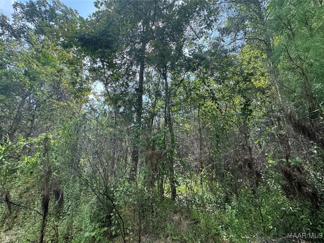 0 Highway 106 E, Home with 0 bedrooms, 0 bathrooms and null parking in Georgiana AL | Image 13