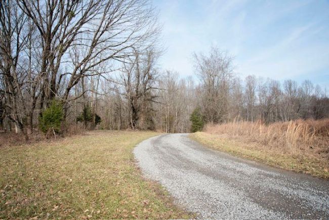 13300 Scottsville Rd, Home with 0 bedrooms, 0 bathrooms and null parking in Lucas KY | Image 5