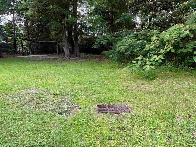 View of grassy yard | Image 22