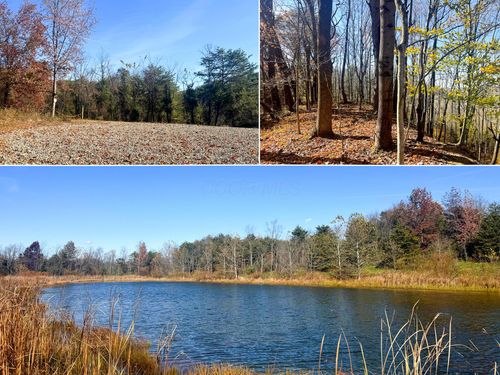 -tract-5-ponds-poplar-ri-808 Nibert Road, Gallipolis, OH, 45631 | Card Image