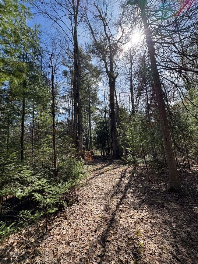 4233 Hardacre Trl, Home with 0 bedrooms, 0 bathrooms and null parking in Houghton Lake MI | Image 25