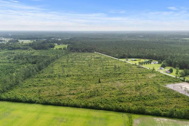Drone / aerial view of a forest | Image 13