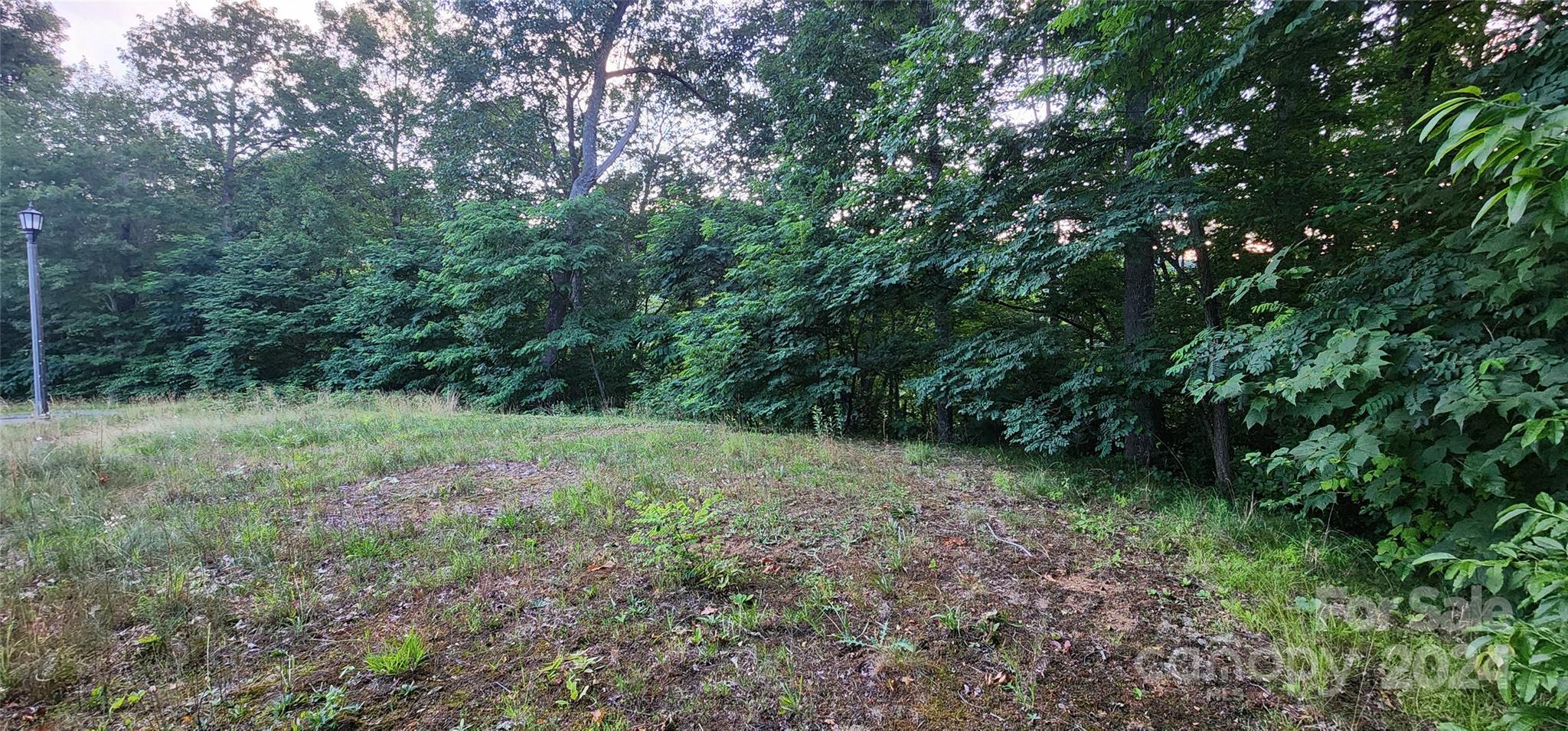 Land in Waynesville 4