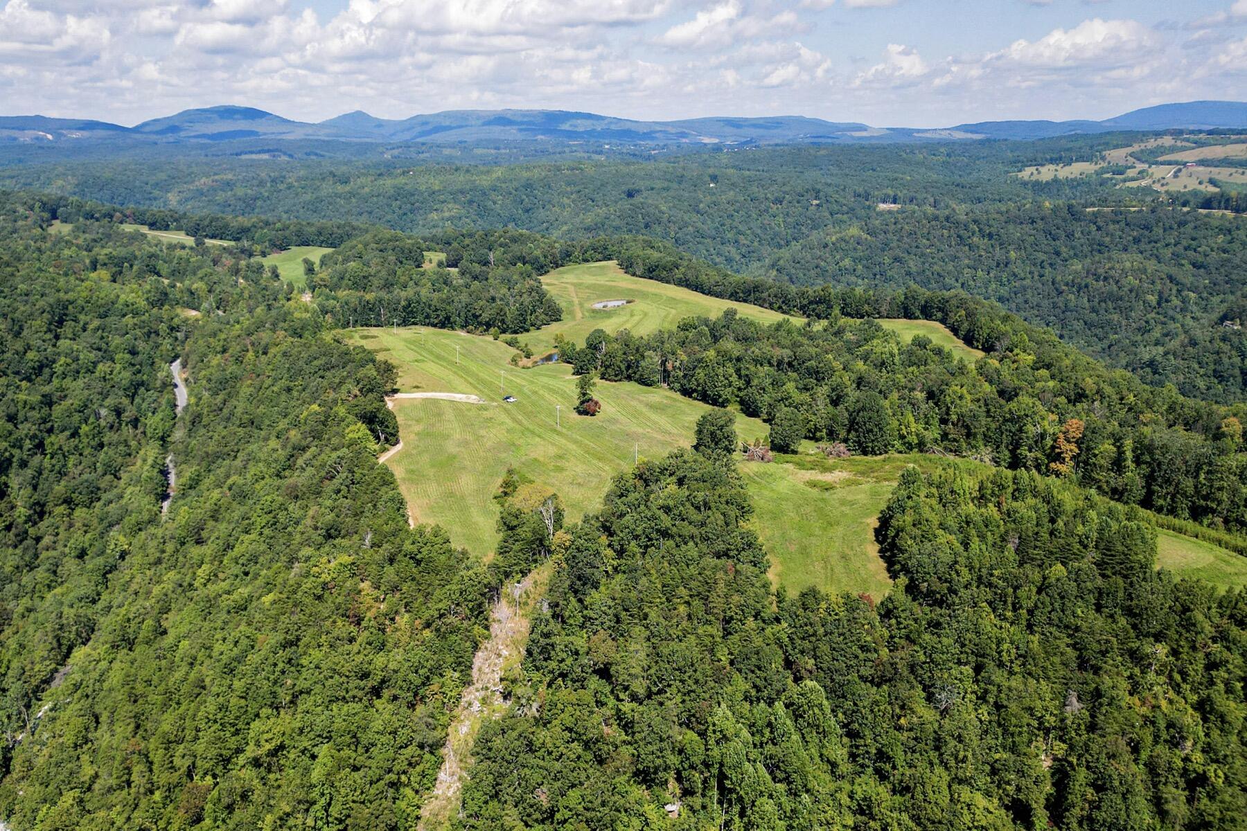 Lynn Roberts Ln, Spring City, TN 37381