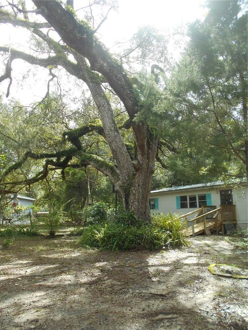 20425 Ne 143rd St, Fort Mc Coy, FL, 32134-5704 | Card Image