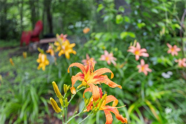 3398 Cullowhee Forest Rd, House other with 3 bedrooms, 4 bathrooms and null parking in Cullowhee NC | Image 46