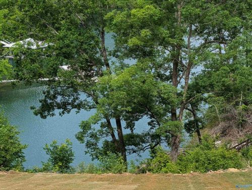 1543 Sipsey Overlook Rd, Double Springs, AL, 35553 | Card Image