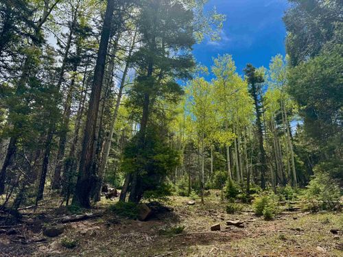455 El Camino Real, Angel Fire, NM, 87710-8169 | Card Image