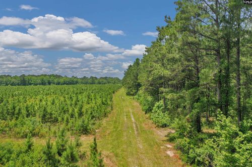 0000 N Brewington Rd, Manning, SC, 29102 | Card Image