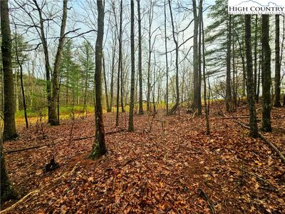 Lot 6 Gentle Ridge Dr, Home with 0 bedrooms, 0 bathrooms and null parking in Crumpler NC | Image 1