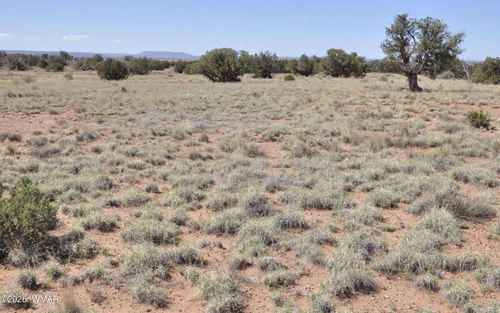 29B N9005, Concho, AZ, 85924 | Card Image