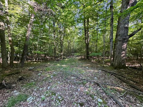 0 Trembleau Rd, Keeseville, NY, 12944 | Card Image
