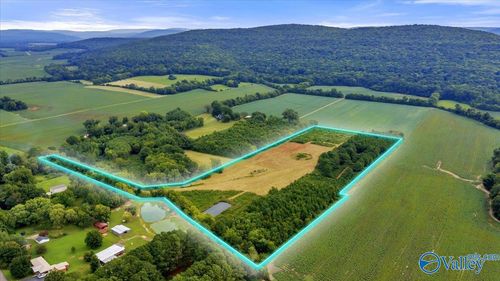 20.3 ACRES Maysville Rd, New Market, AL, 35761 | Card Image