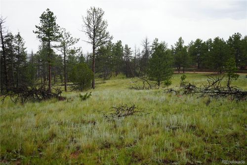 308 Chapparal Trl, Florissant, CO, 80816-8111 | Card Image