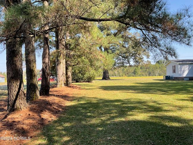 Back Yard | Image 40