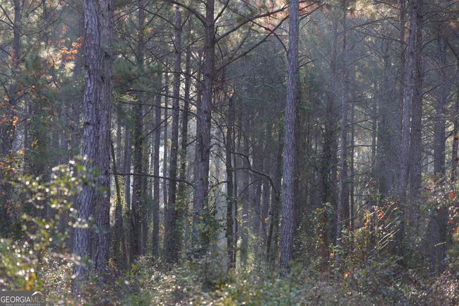 0 N County Line Rd, Home with 0 bedrooms, 0 bathrooms and null parking in Sylvester GA | Image 6