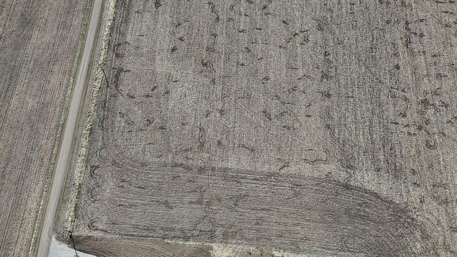 DJI_20250422153449_0678_D.JPG | Image 10