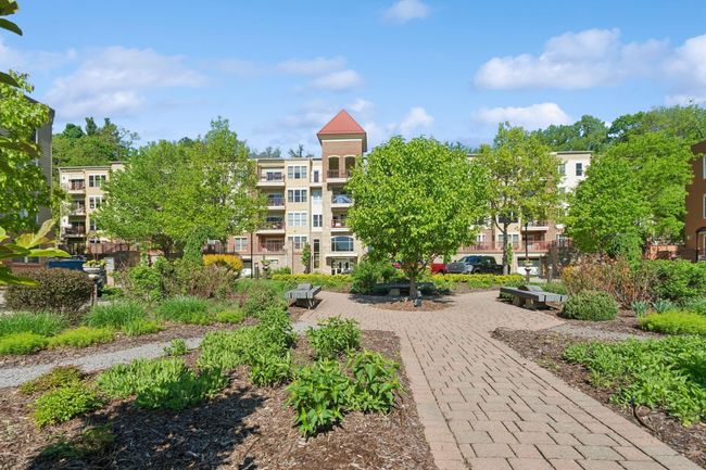 Terra Springs: Timeless History, Modern Convenience. | Image 14