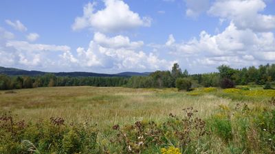 0 Bushey Hill, Home with 0 bedrooms, 0 bathrooms and null parking in Derby VT | Image 2