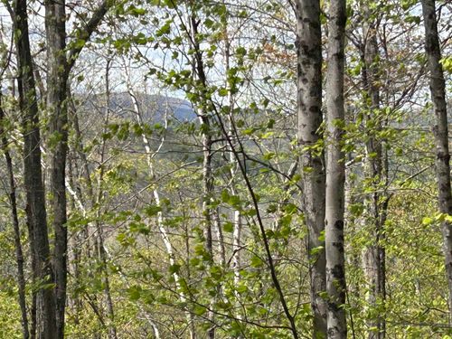 188 Rattlesnake Mountain Road, Townshend, VT, 05353 | Card Image