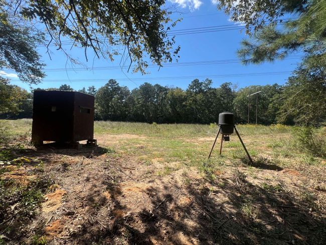 18156 State Highway 87 S, Home with 0 bedrooms, 0 bathrooms and null parking in Call TX | Image 15