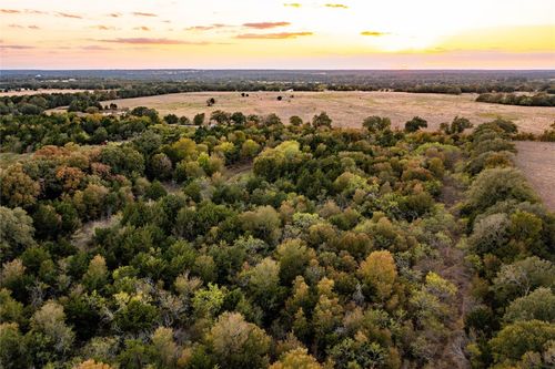 000 TBD 17+/- Ac Grassyville Road, Paige, TX, 78659 | Card Image