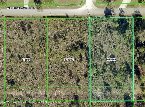 0 Yellow Hammer Rd, Brooksville, FL, 34614 | Card Image