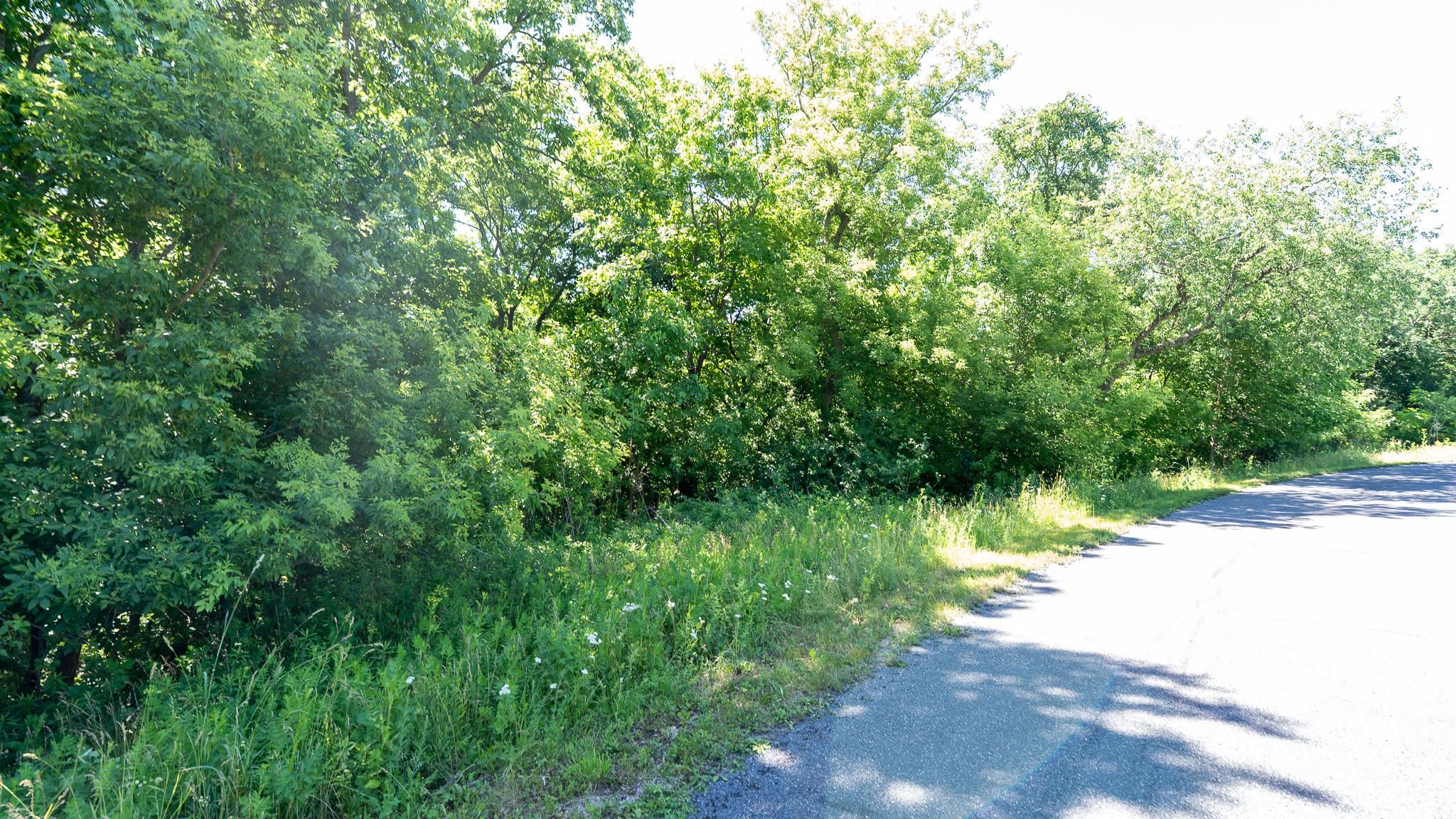 Land in Whitewater 3