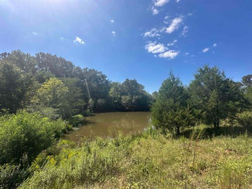 0 Middleburg Rd, Decaturville, TN, 38329 | Card Image