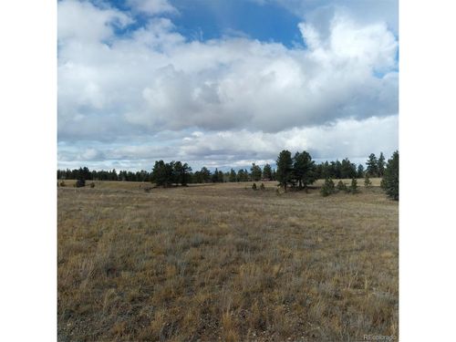 0 Singletree Rd, Buena Vista, CO, 81211 | Card Image