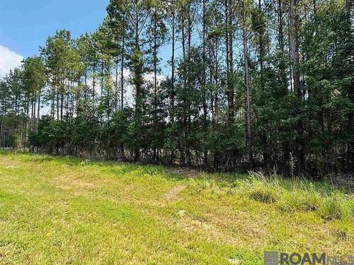 Lot 4 Highway 449, Pine Grove, LA, 70453 | Card Image