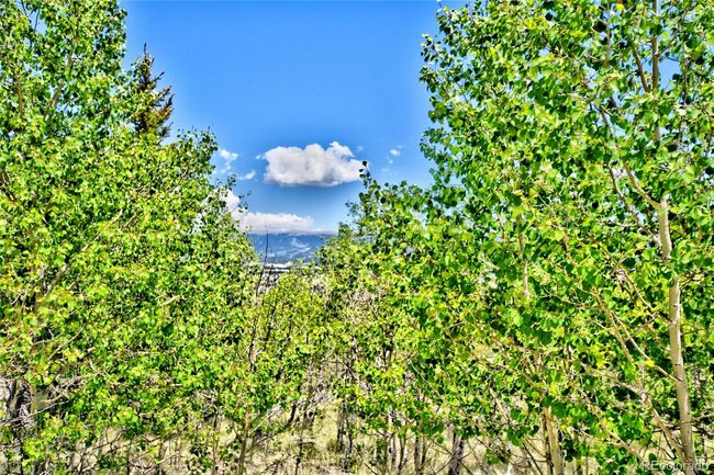 0 Wells Fargo Circle, Home with 0 bedrooms, 0 bathrooms and null parking in JEFFERSON CO | Image 4