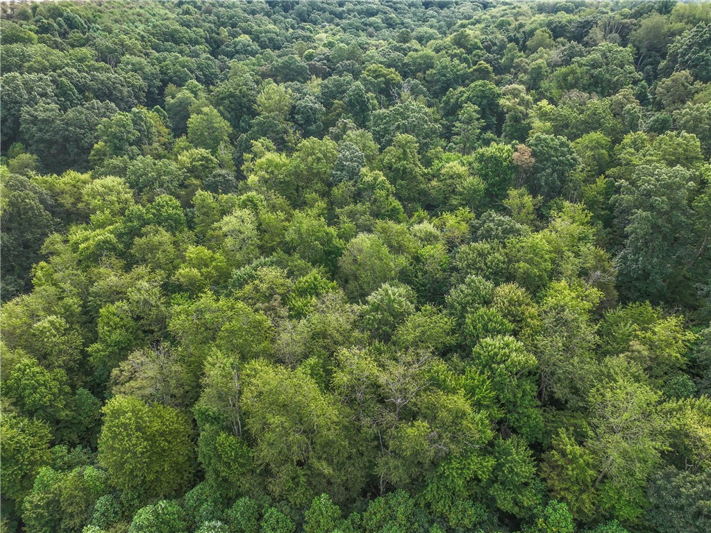 Farm in Chippewa Twp 3