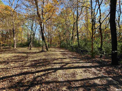 449 Pine Ln, Murphysboro, IL, 62966-5234 | Card Image