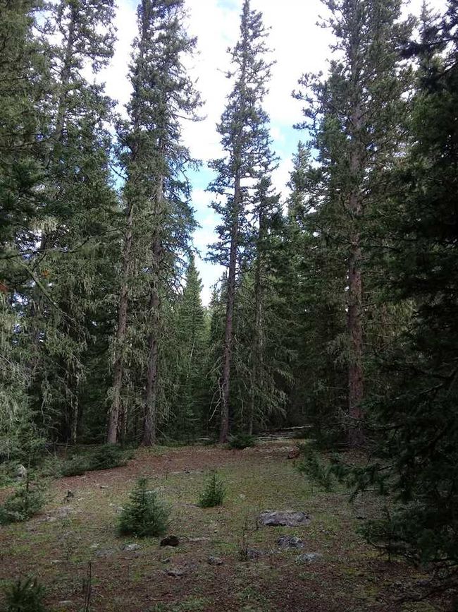 43 Happy Way, Home with 0 bedrooms, 0 bathrooms and null parking in Angel Fire NM | Image 6