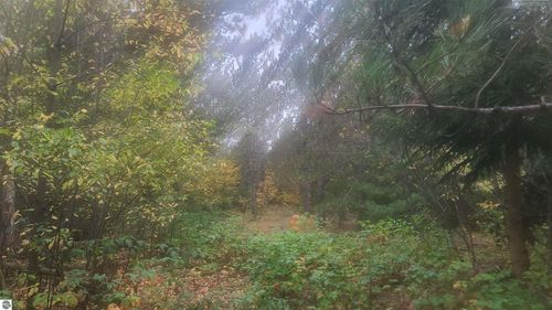 0000 Cedar River Rd, Mancelona, MI, 49659 | Card Image