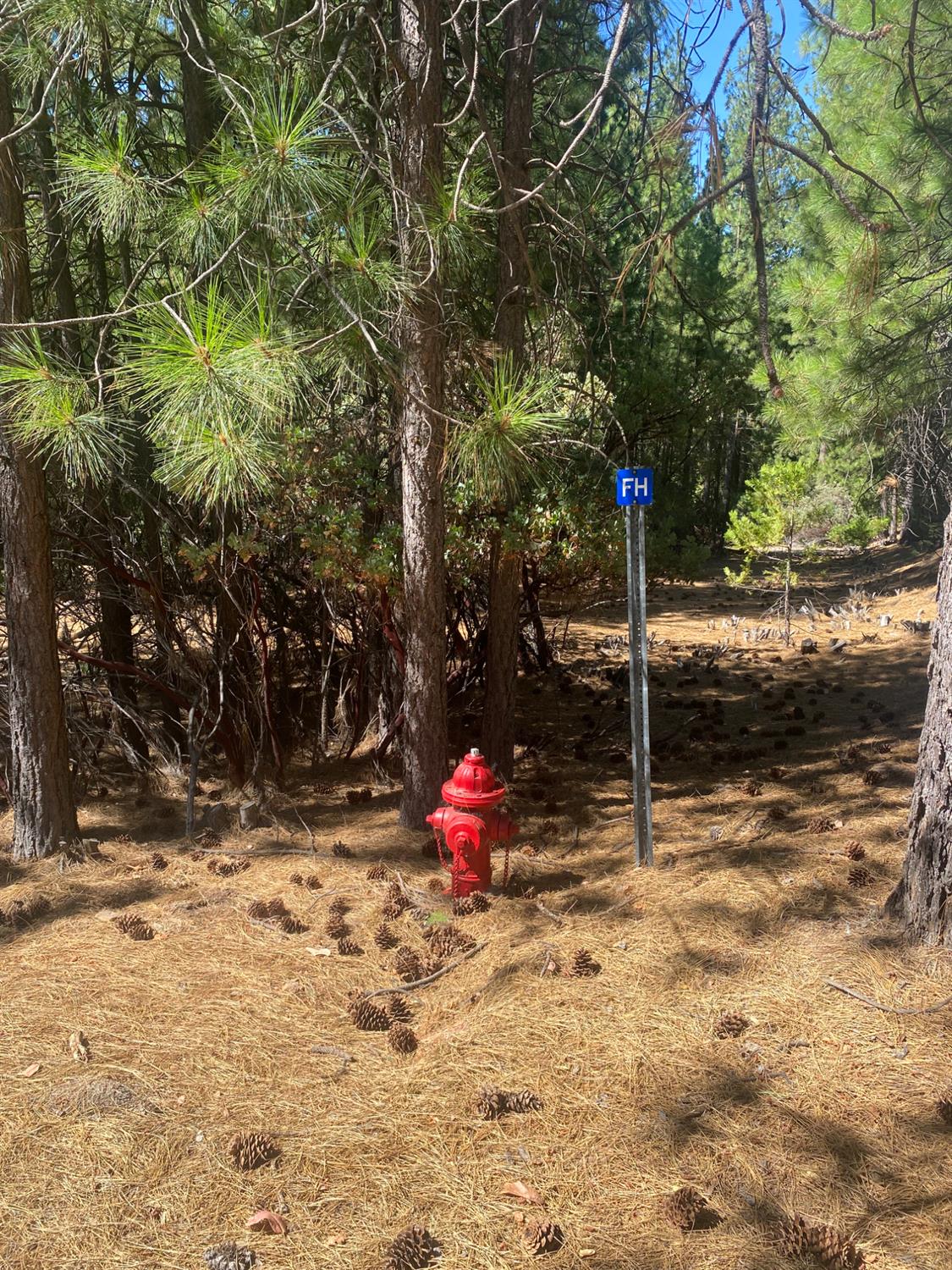 Land in Grizzly Flats 3