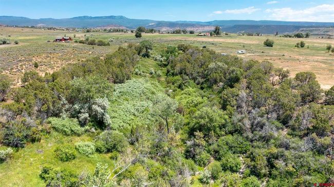 14433 2600 Rd, Home with 0 bedrooms, 0 bathrooms and null parking in Cedaredge CO | Image 4