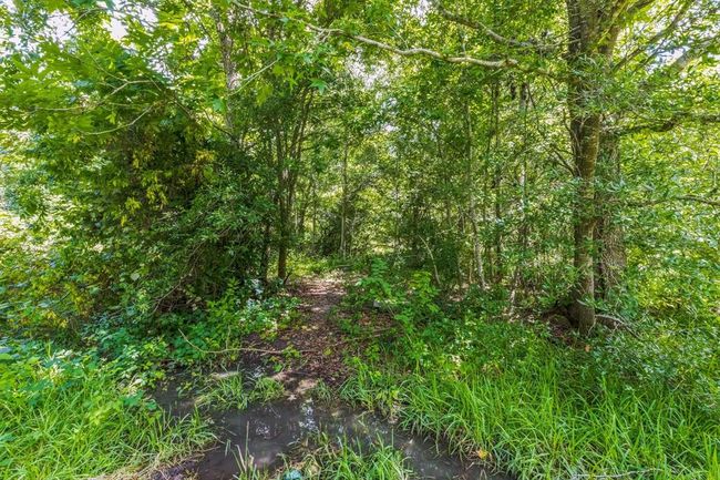 0 Davis Bend Rd, Home with 0 bedrooms, 0 bathrooms and null parking in Alvin TX | Image 17