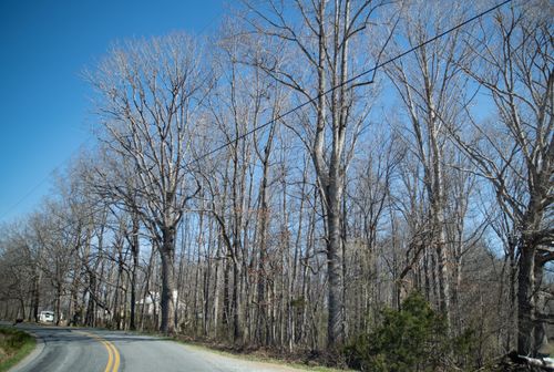 0 Morgans Church Rd, Moneta, VA, 24121 | Card Image