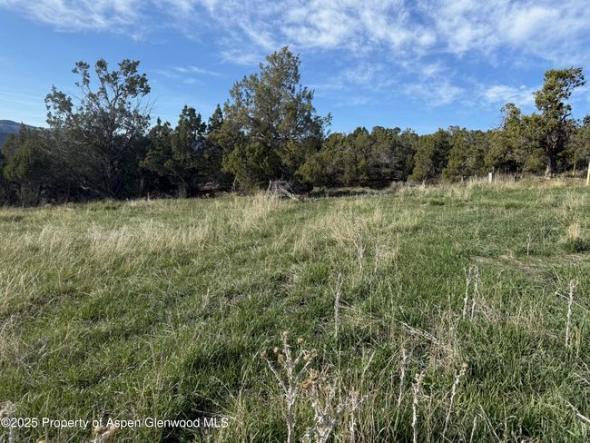 14495 N Scott Loop, Home with 0 bedrooms, 0 bathrooms and null parking in Collbran CO | Image 4