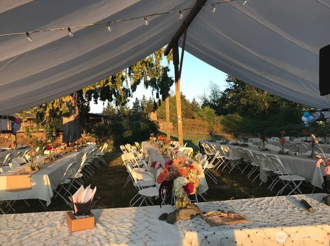 Outdoor wedding | Image 31