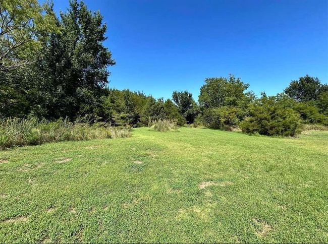 View of yard | Image 5